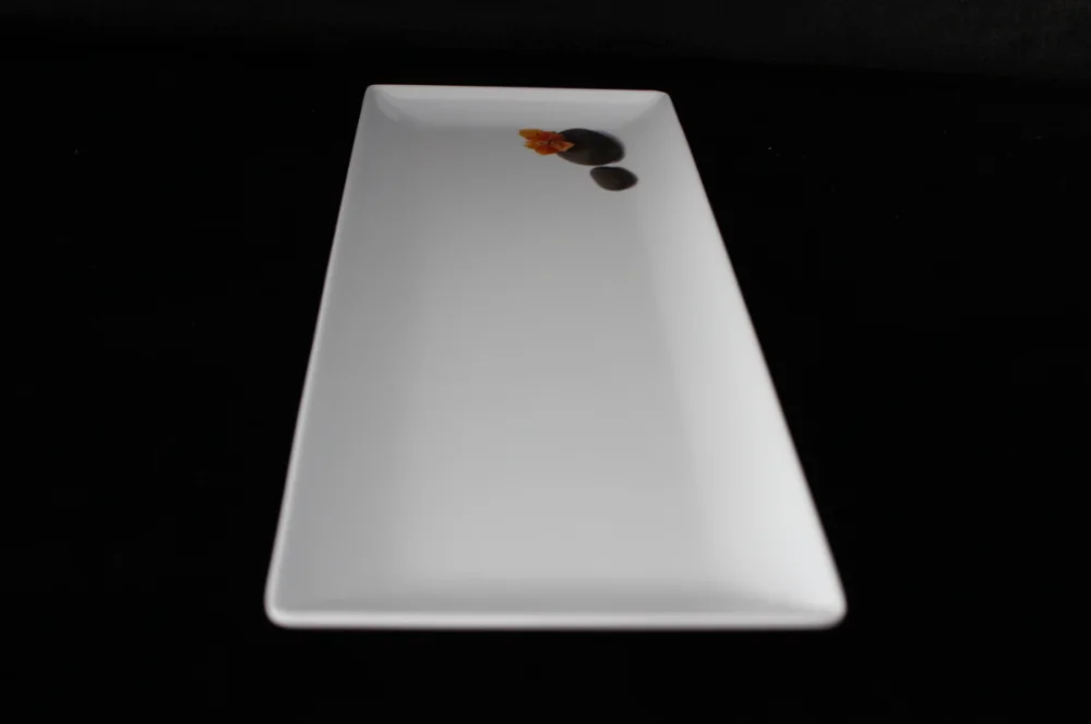 15.8inch melamine sushi plate