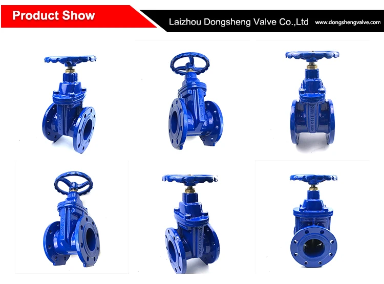 gate valve.jpg