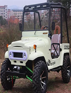 desert motorcycle 4 wheel