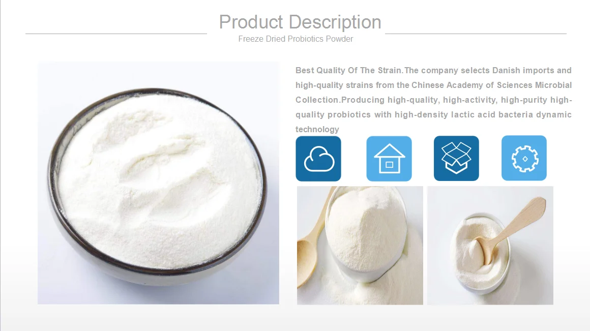 Lactobacillus Reuteri Freeze Dried Powder For Body Immune System Buy