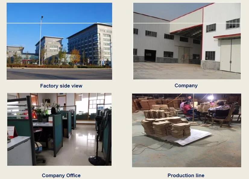 Company