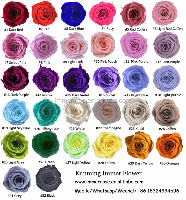 color chart