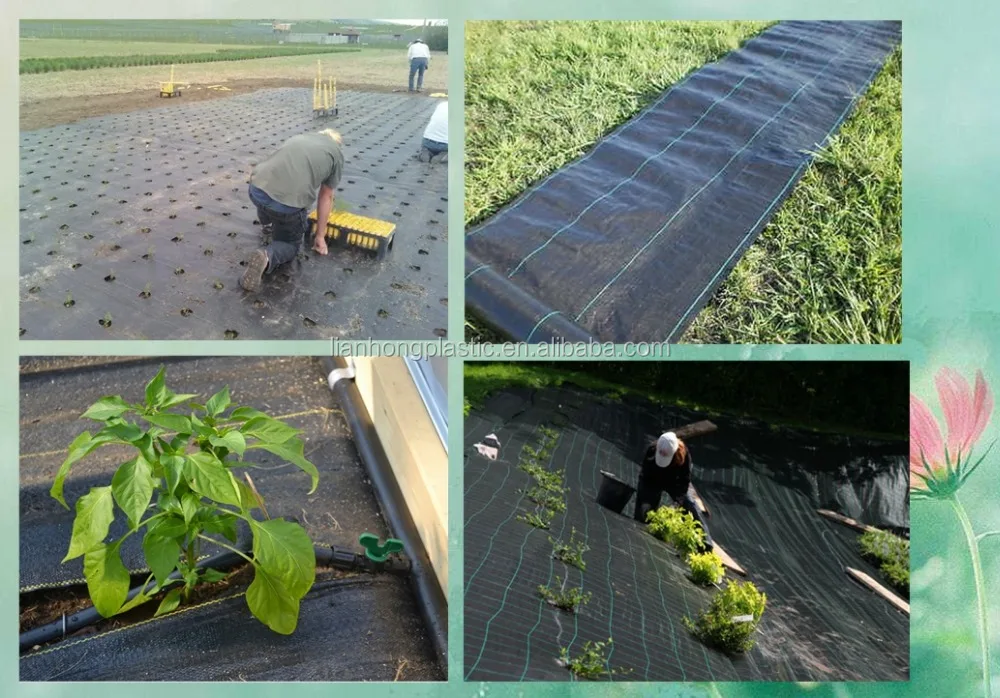 Woven Polypropylene Weed Control Black Fabric Buy Woven Black Fabric