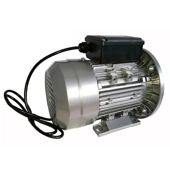 0.5hp Siemens Universal Electric Car Wheel Motor Price List For Juicer