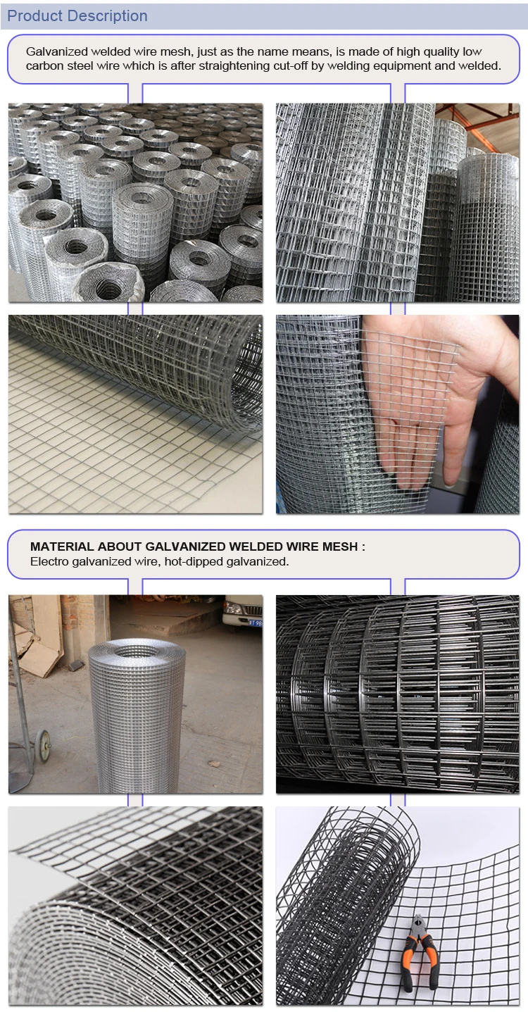 High Quality Galvanised Mesh Welded Wire Mesh 48" x 2" x 2" x 30mtr 16g 