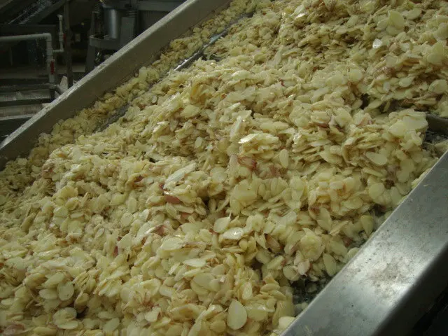 New Dehydrated Granulated Garlic