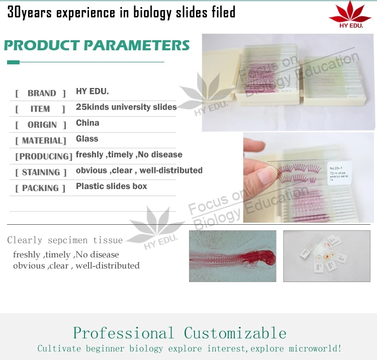 3 Fixed items 25kinds embryology slides for university lab chick embryo microscope slides