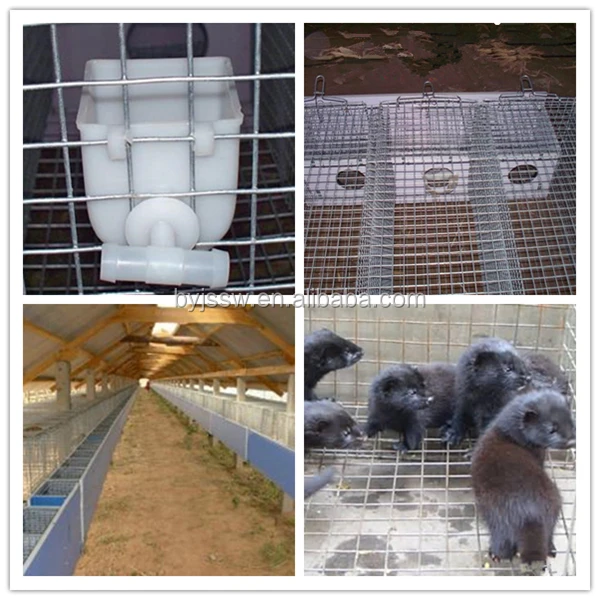 Steel Wire Cage For Mink,Farming Mink Cage For Sale Buy Steel Wire