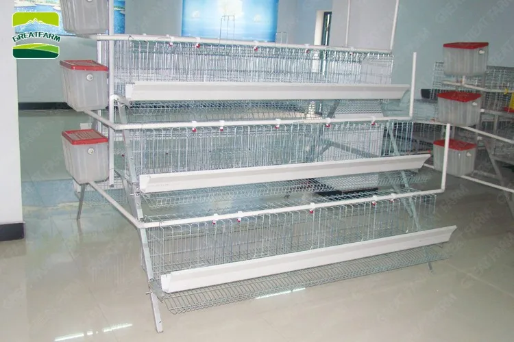 high quality poultry farm equipment hot dipped galvanized broiler house egg chicken laying egg cages