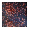 Oriental Inspired Floral Jacquard Woven Dress Fabric