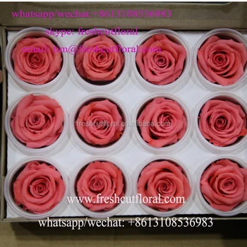 Export How To Preserve A Rose In Jar From Yunnan Flower Company Export How To Preserve A Rose In Jar From Yunnan Flower Company For Bouquets