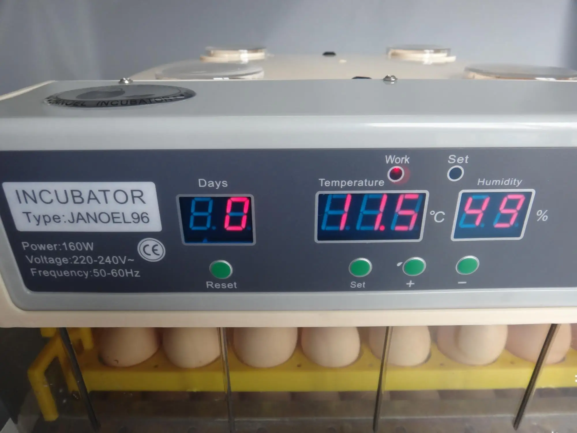 Stable Quality Competitive Price Large Incubators Hatching Eggs In