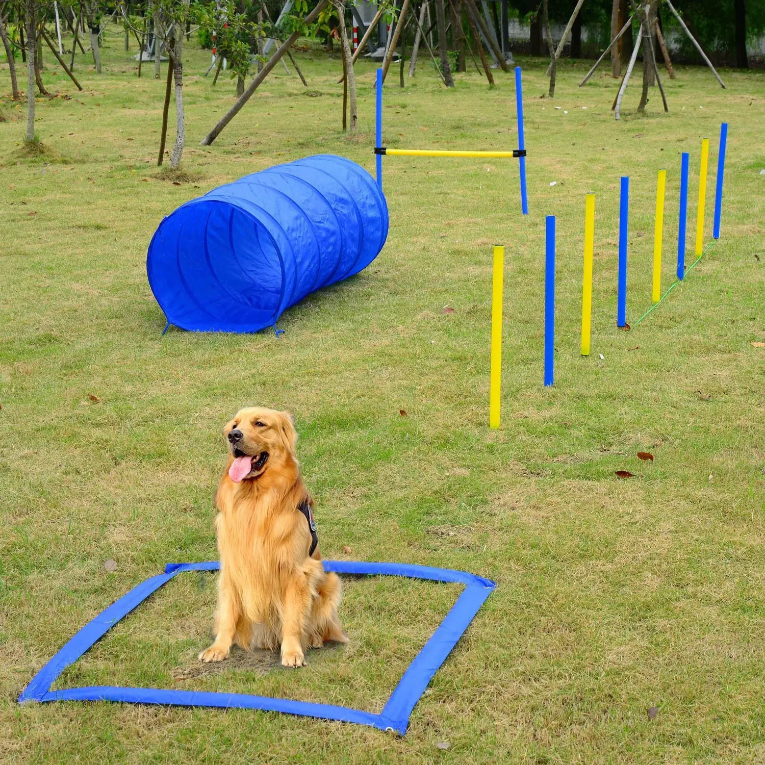 Cheap Indoor Agility Poles, find Indoor Agility Poles deals on line at