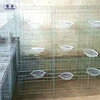 Shuxin New Type Steel Superior Fancy Pigeon Cages Racing Pigeon Breeding Cages For Sale