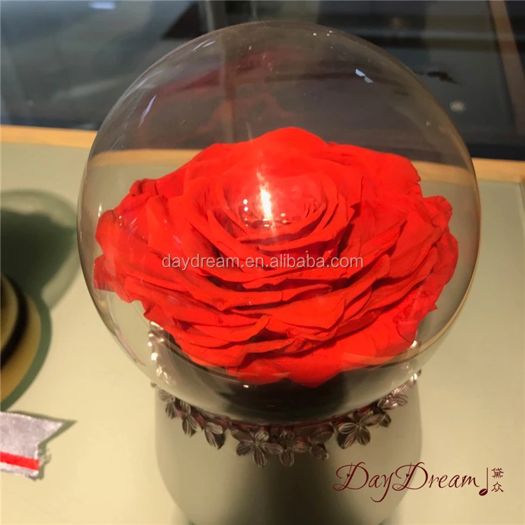 eternal preserved rose soap flower jewelry