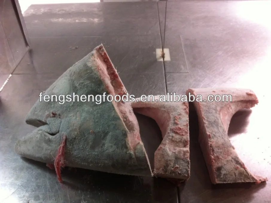 frozen tuna by-products seafood.jpg