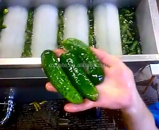 cucumber washing machine.jpg