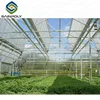 commercial wet wall multi span glass greenhouse for sale