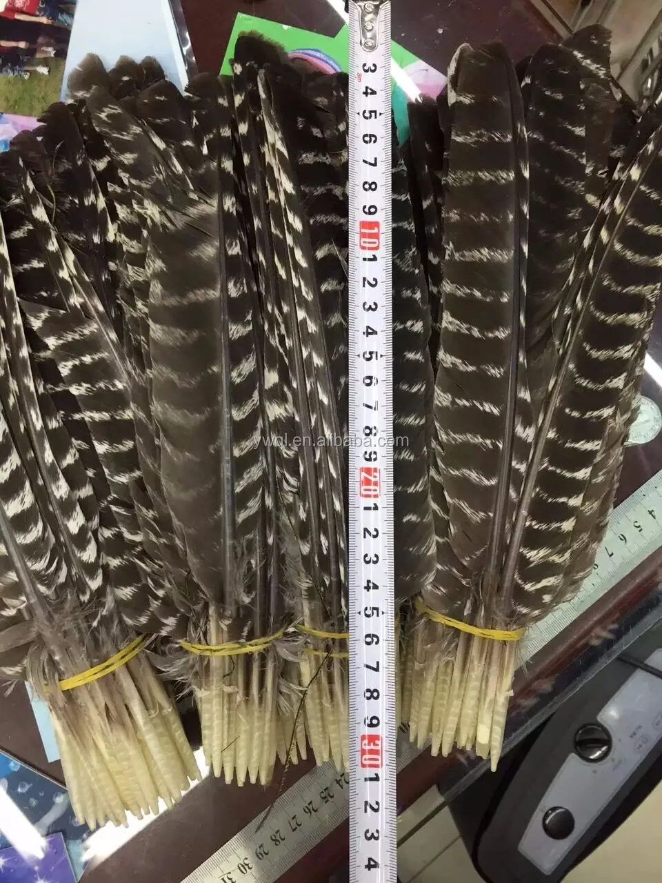 turkey feathers for sale