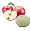 Top quality Apple Cider Vinegar Powder , free sample for initial trial, in bulk supply