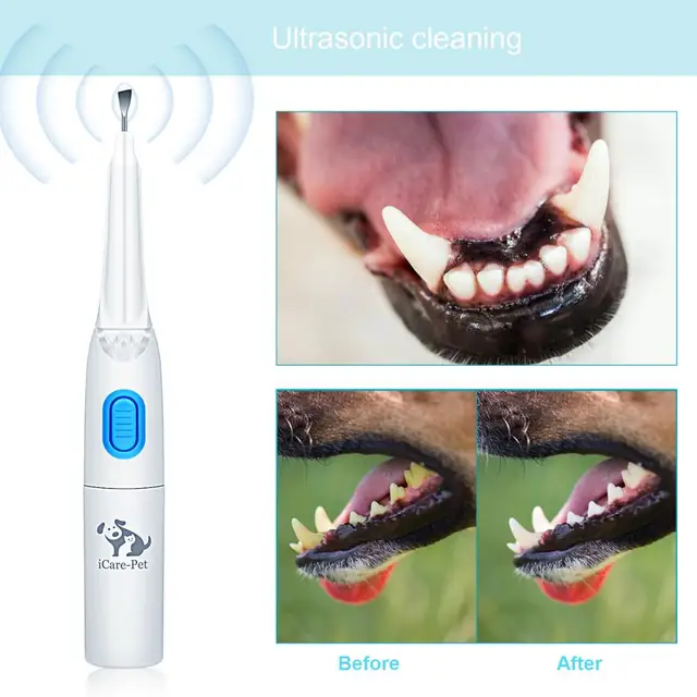 家庭用 クリニックペット歯クリーナー用超音波電子犬歯ブラシ歯科計算 Buy 犬デンタルケア 超音波歯クリーナー 犬歯ブラシ Product On Alibaba Com