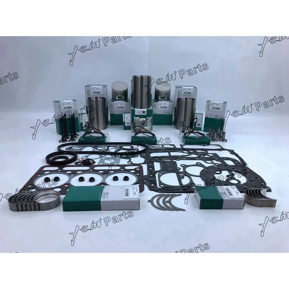 D1402idi D1402 Engine Rebuild Kit With Gasket Kit Engine Valves