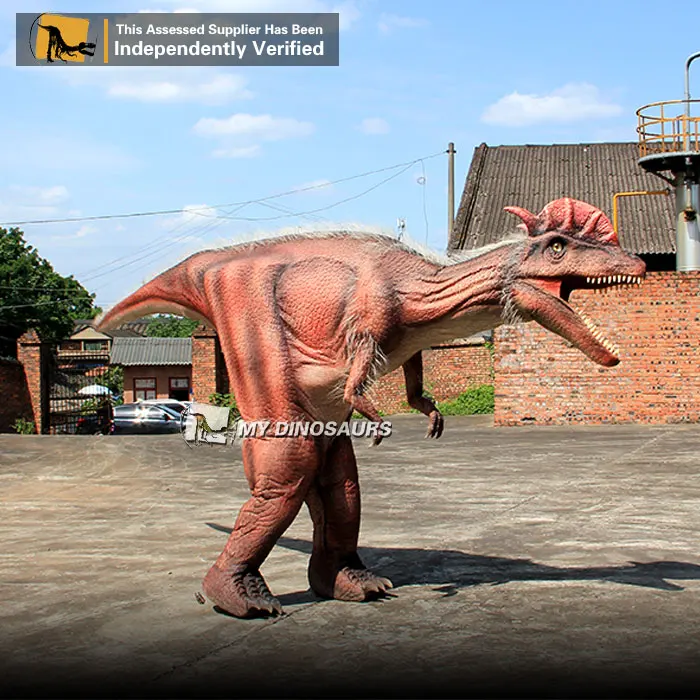 Adult Realistic Dinosaur Mascot Costumes For Sale.