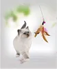 2019 Pettoy pet products source manufacturers interactive steel wire funny cat sticks for scratching and playing