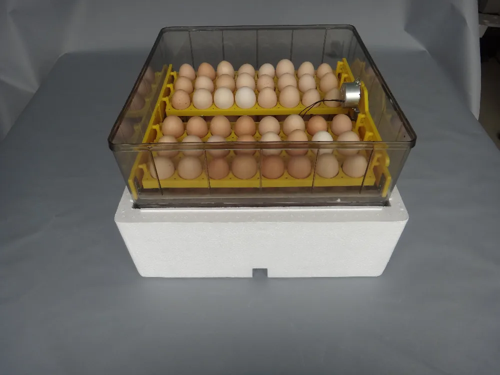 Hot Automatic Good Quality Jn96 Poultry Egg Tester ...