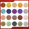 Factory bulk eye shadow holder case with cosmetic brush eyeshadow powder in container for sale in usa market from china