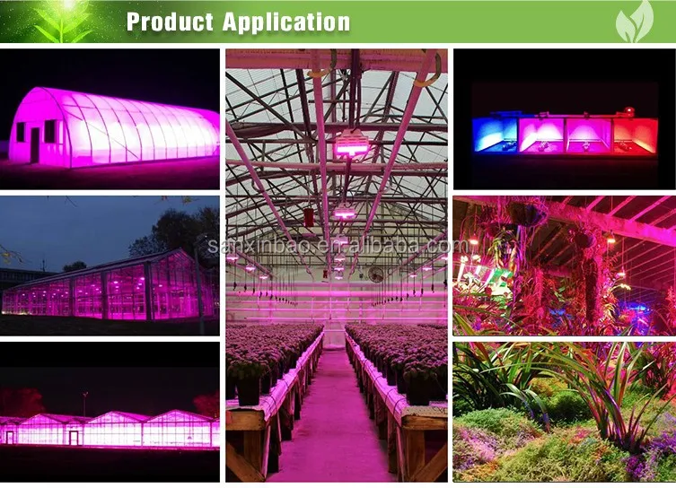 Remote Control Dimmable Es1000 Led Grow Lights For Indoor Plants Buy