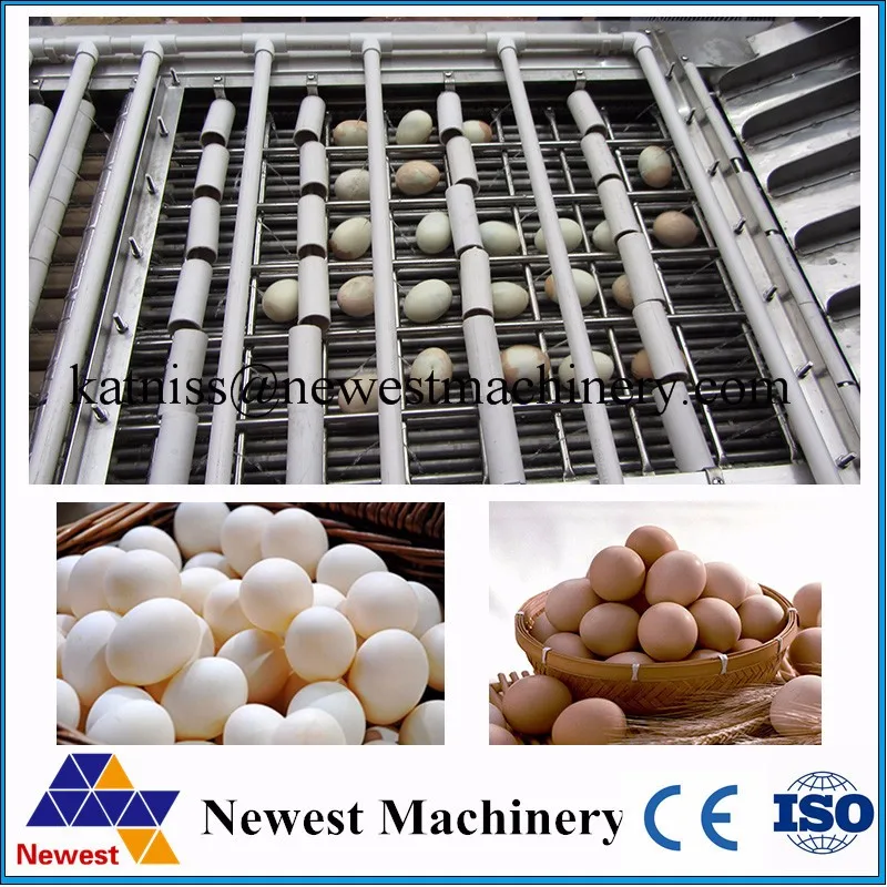 hot sell spiced corned egg making plant/cooked egg peeling