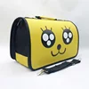 China Suppliers Portable Cartoon Expression Cat Dog Pet Travel Carrier Bag