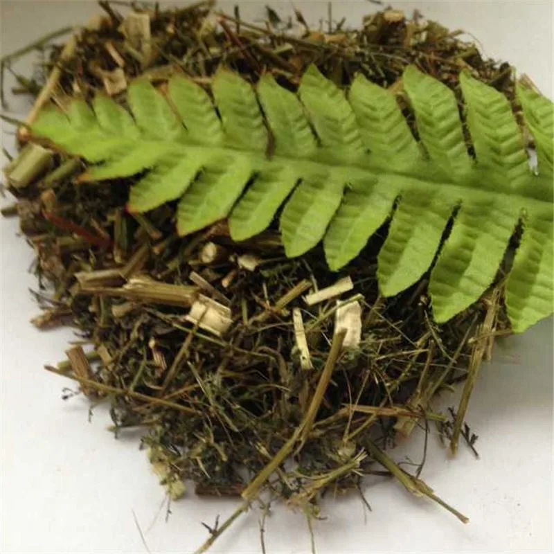 qing hao high quality mugwort herb dried sweet wormwood leaves
