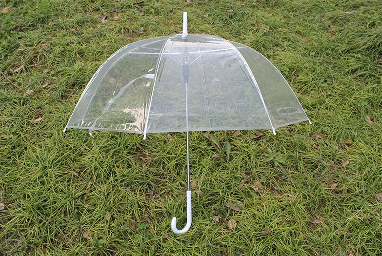 umbrella.png