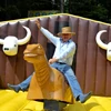 cheap&fun!!!attraction mechanical Spanish bullfight bull amusement park games