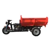 3 wheel motorcycle for food delivery/800W heavy loading cargo tricycle with low price/electric power adult motorcycle 2 seats