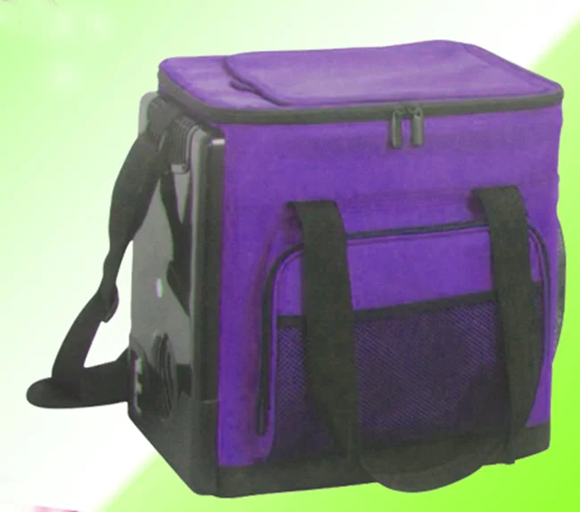 6 pack insulated cooler bag