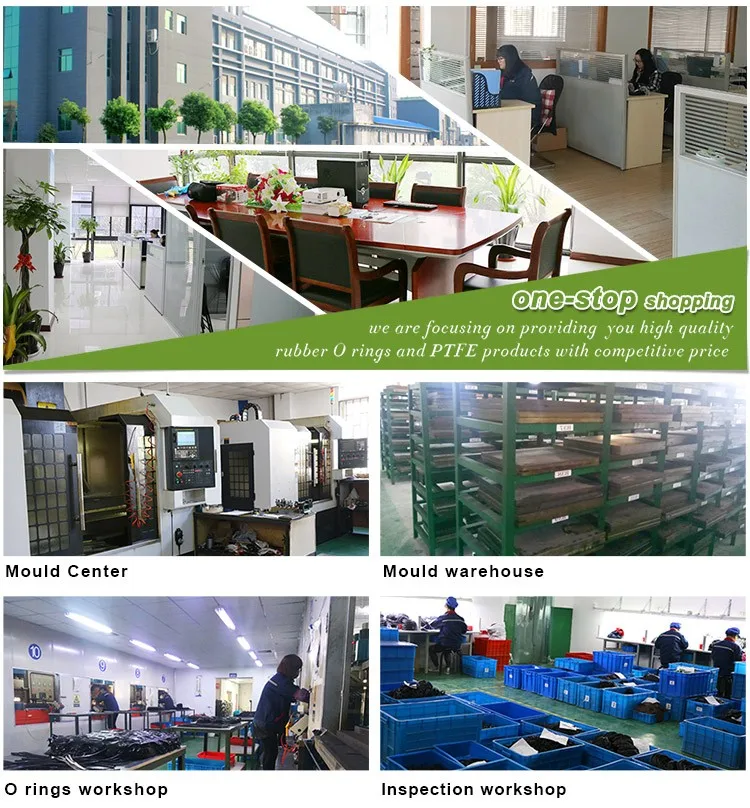 Company Profile