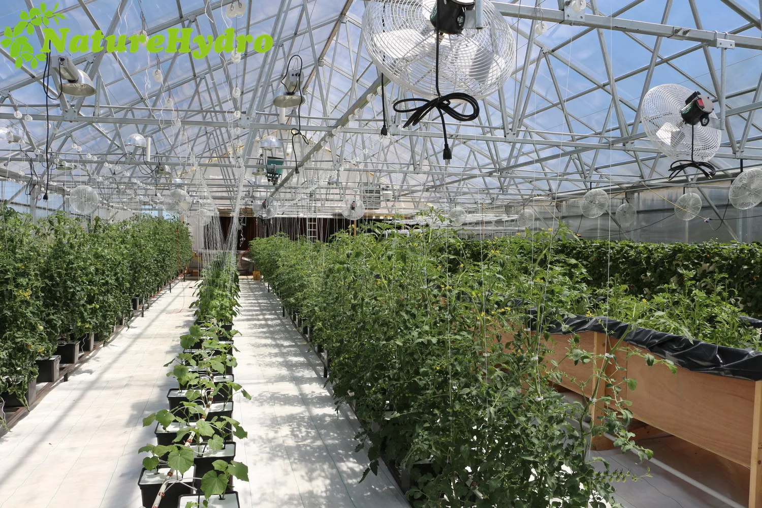 11l 24l 32l Bato Bucket Drip Irrigation Dutch Bucket System Hydroponic