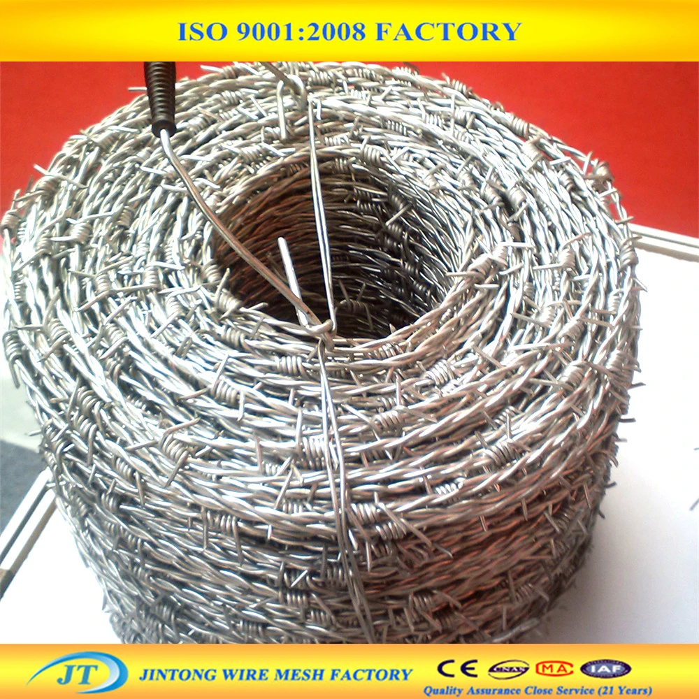 Double Strand Barbed Wire/galvanized Barbed Wire Fence Buy Double