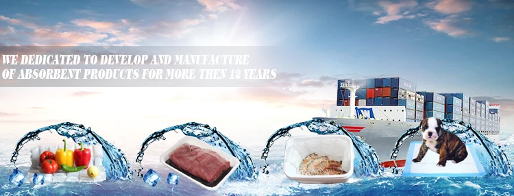 Superior Quality Reusable Fill Gel Dry Ice Packs For Food