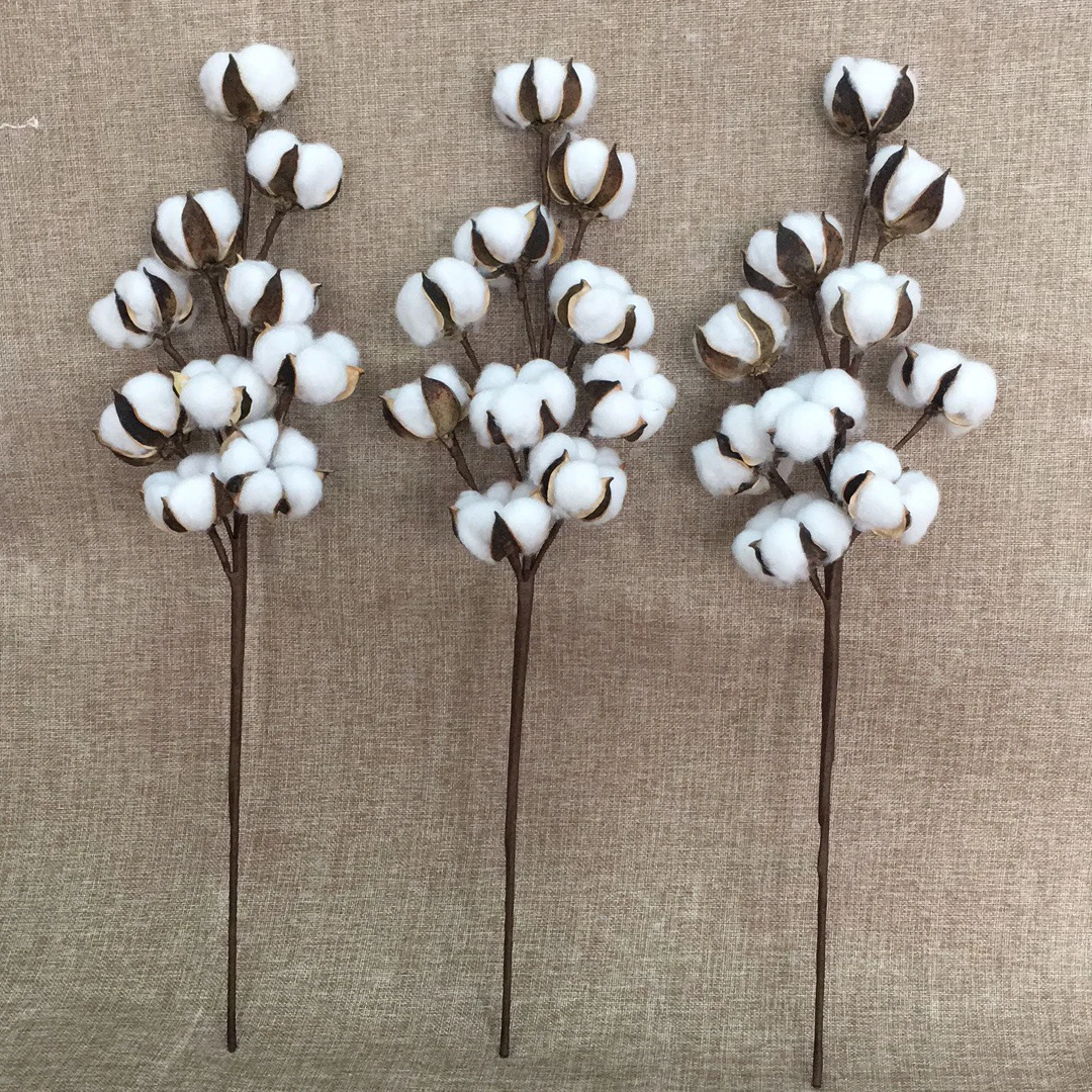 Amazon 3 Pack 21 Inch Cotton Stems Farmhouse Style Display Filler Floral Decoration 10 Heads