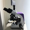 Top sale MSL500T biological microscope / microscope digital trinocular