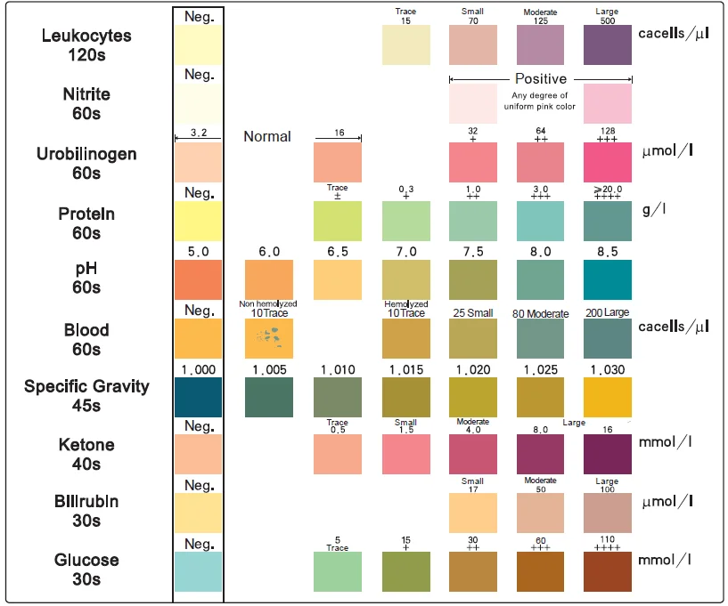 Urine Drug Test Strips Color Chart
