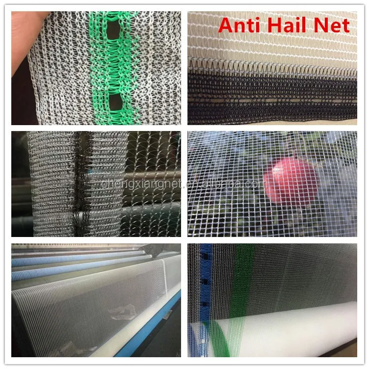 cx_anti hail net_.jpg