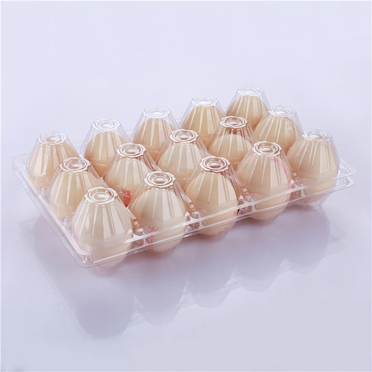 High Quality Hot Sale Ecofriendly Bulk Clear Pet Plastic Egg Packaging
