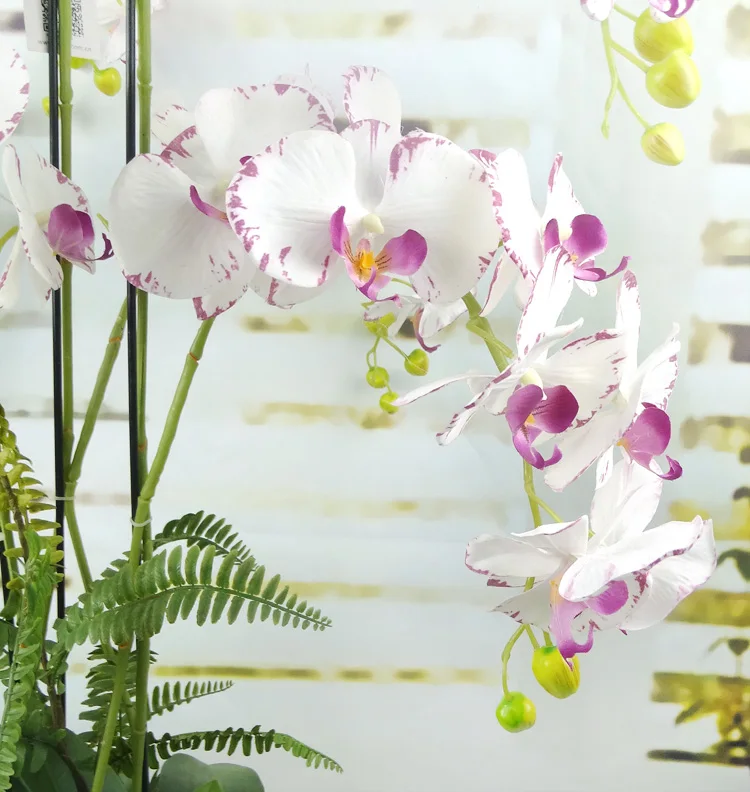 Пластик орхидея фото Orchidee оптовая торговля Pu пластмассовая Орхидея искусственного реального каса