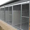 /product-detail/quarantine-dog-kennels-and-breeder-kennels-in-hot-dipped-galvanized-62046425512.html
