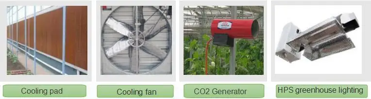 customized black out greenhouse